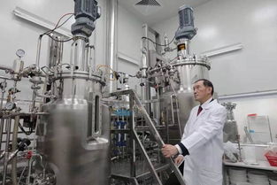 投资迷途 2500万投资续命药，两年市值蒸发2亿美元的警示